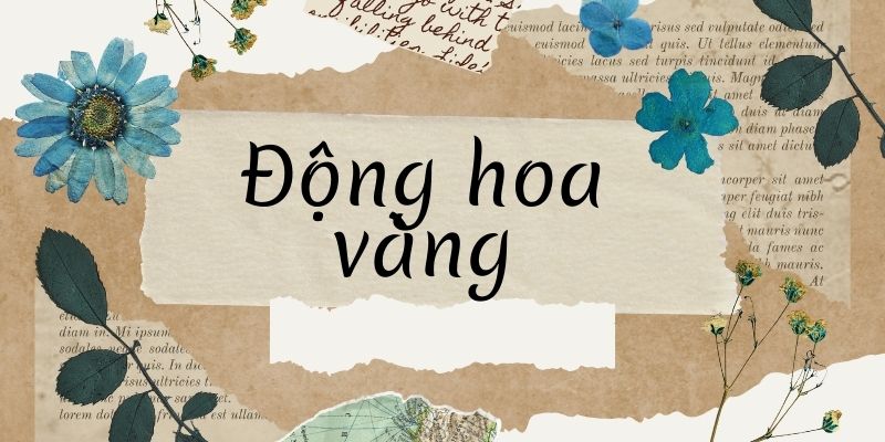 Bài thơ Động hoa vàng (Phạm Thiên Thư)