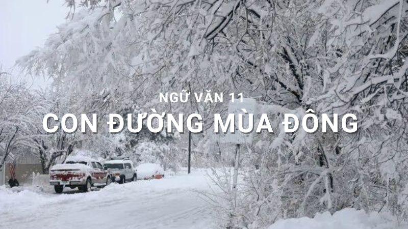 giao-an-con-duong-mua-dong giáo án con đường mùa đông