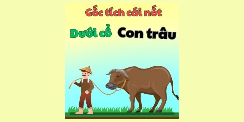 goc-tich-cai-not-duoi-co-con-trau-1 gốc tích cái nốt dưới cổ con trâu