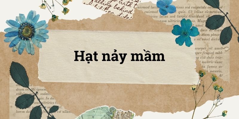 Hạt nảy mầm lớp 5 (trang 43, 44) – Cánh diều