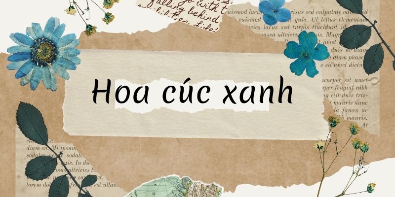Bài thơ hoa cúc xanh (Xuân Quỳnh)