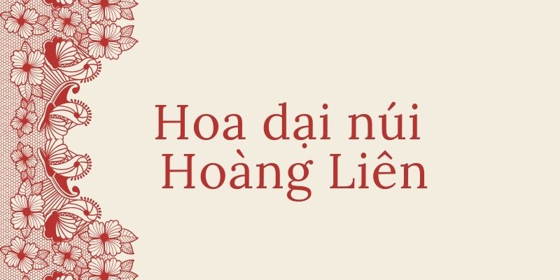 Bài thơ Hoa dại núi Hoàng Liên (Xuân Quỳnh)