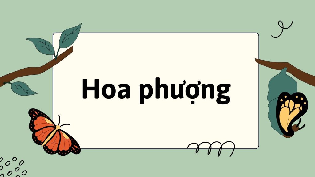 Bài Hoa phượng – Giải Vở bài tập Tiếng Việt lớp 1 trang 60, 61