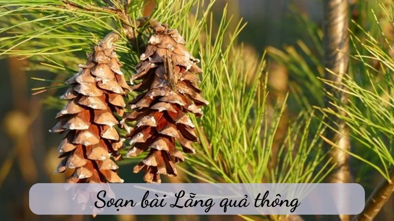 lang-qua-thong-1 Lẵng quả thông
