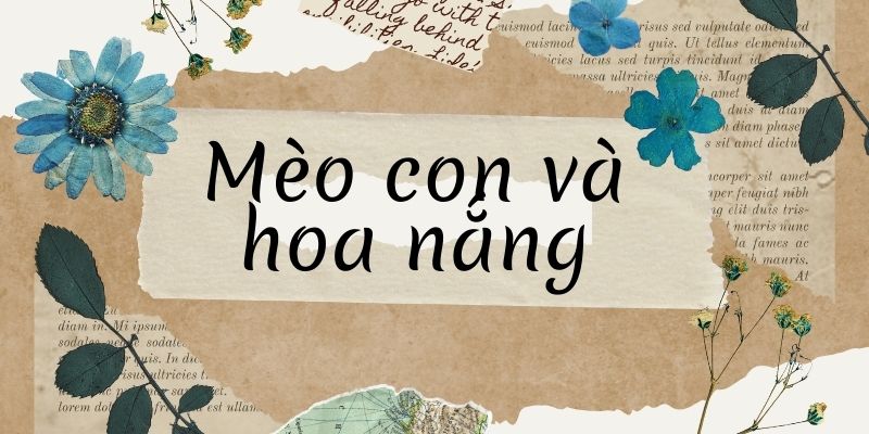 Mèo con và hoa nắng (Nguyễn Trọng Hoàn)
