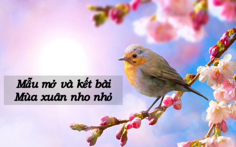 mo-bai-mua-xuan-nho-nho-1 Mở bài mùa xuân nho nhỏ