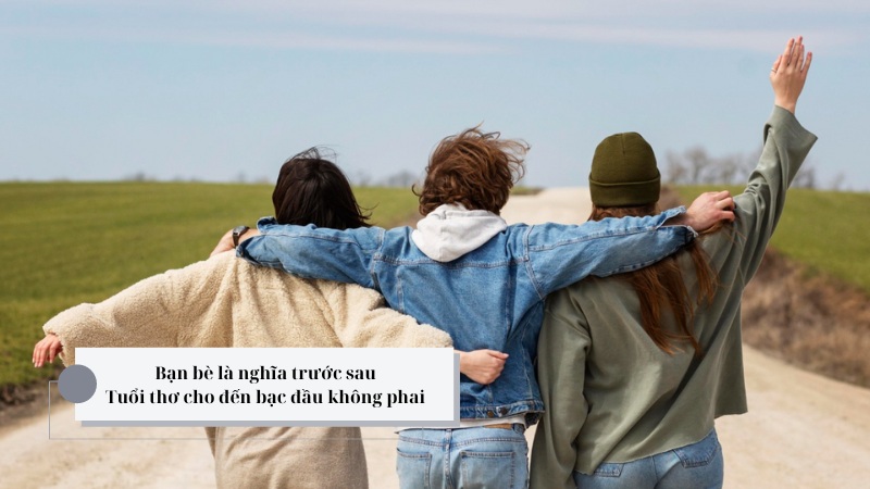 mot-so-cau-tuc-ngu-viet-nam một số câu tục ngữ việt nam