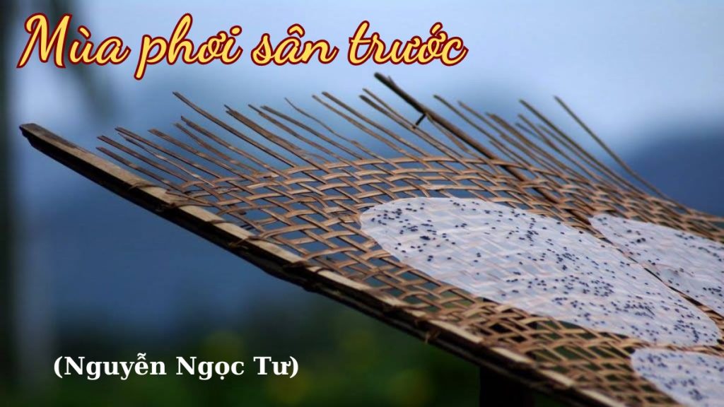 Mùa phơi sân trước (Nguyễn Ngọc Tư): Tác giả tác phẩm