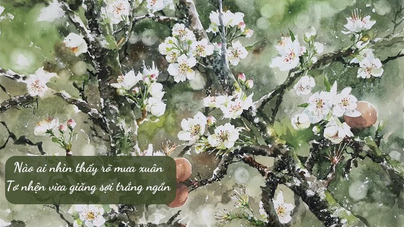 Soạn bài Mưa xuân 2 (Nguyễn Bính) CTST Văn 8