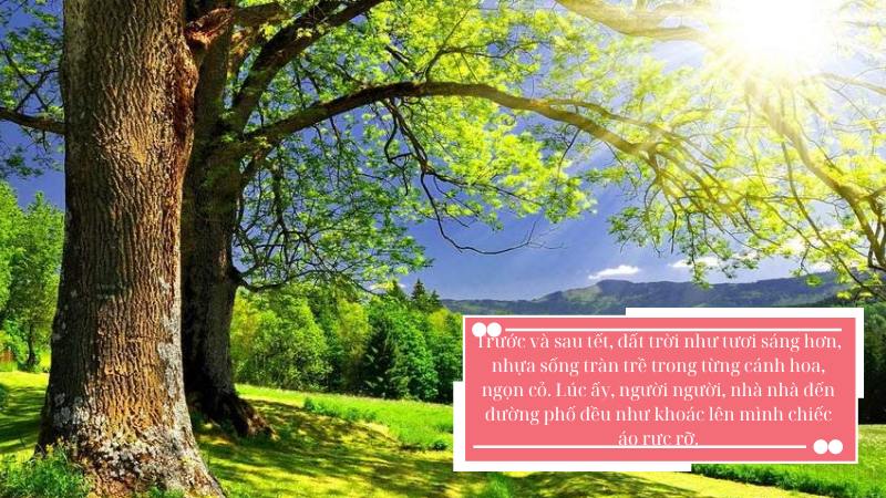 ngu-van-7-thang-gieng-mo-ve-trang-non-ret-ngot ngữ văn 7 tháng giêng mơ về trăng non rét ngọt