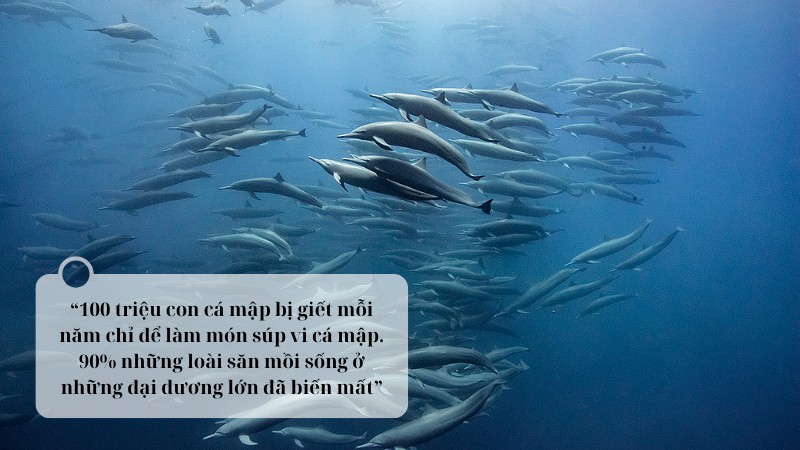 ngu-van-8-choang-ngop-va-dau-don-nhung-canh-bao-tu-loat-phim-hanh-tinh-cua-chung-ta ngữ văn 8 choáng ngợp và đau đớn những cảnh báo từ loạt phim hành tinh của chúng ta