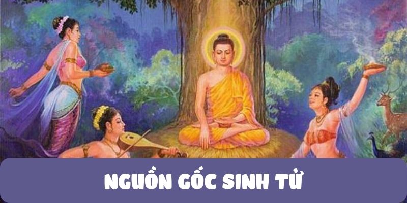 nguon-goc-sinh-tu-1 Nguồn gốc sinh tử