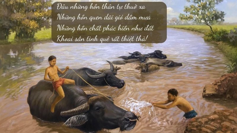 nho-dong-ket-noi-tri-thuc nhớ đồng kết nối tri thức