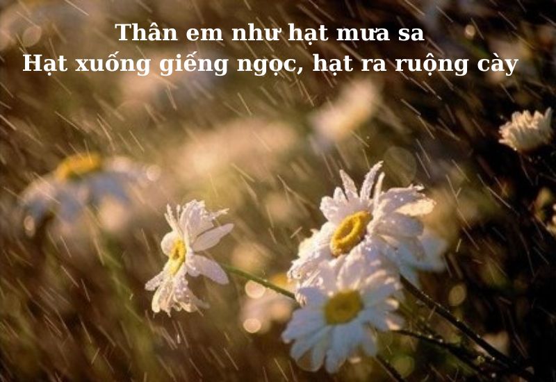 nhung-bai-ca-dao-ve-yeu-thuong-tinh-nghia những bài ca dao về yêu thương tình nghĩa