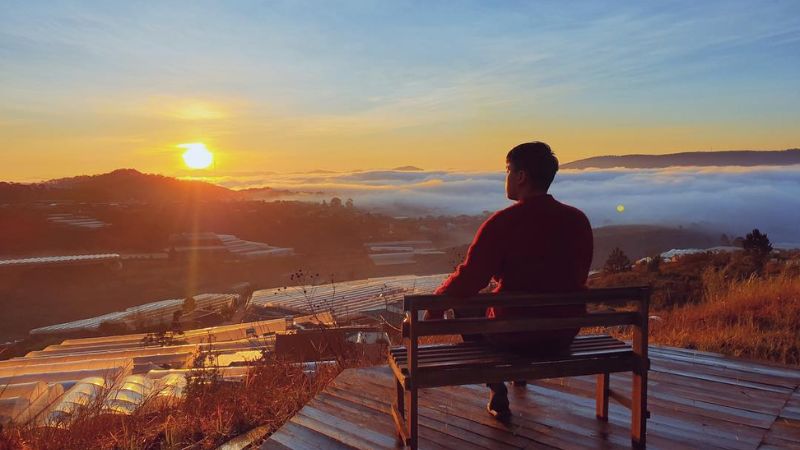 nhung-bai-tho-tu-do-hay những bài thơ tự do hay