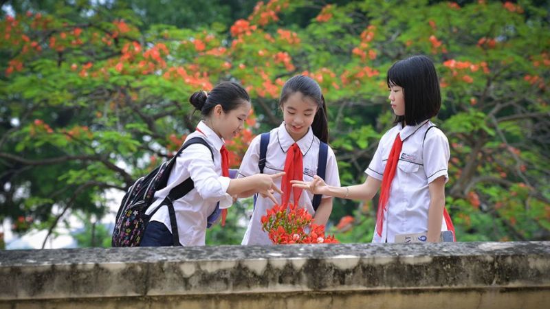 nhung-bai-tho-tu-do-ve-tinh-ban những bài thơ tự do về tình bạn