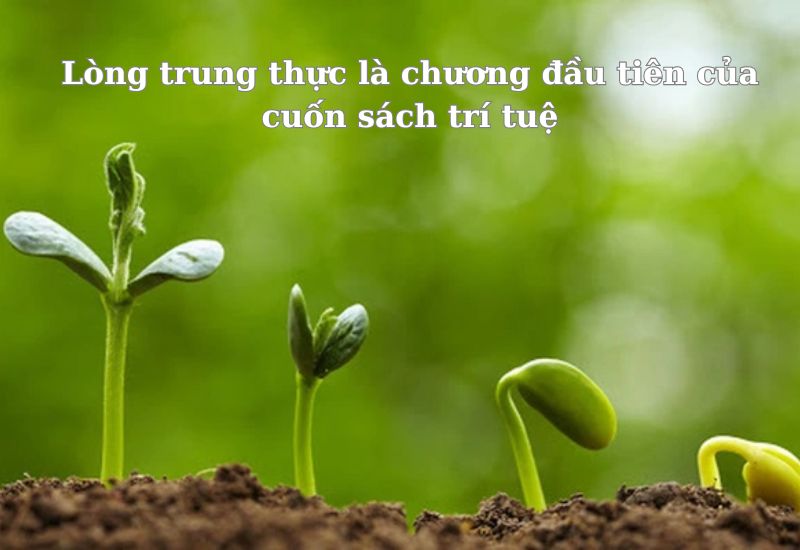 nhung-cau-noi-hay-ve-song-ngay-thang những câu nói hay về sống ngay thẳng