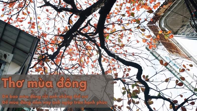 nhung-cau-tho-ngon-tinh những câu thơ ngôn tình