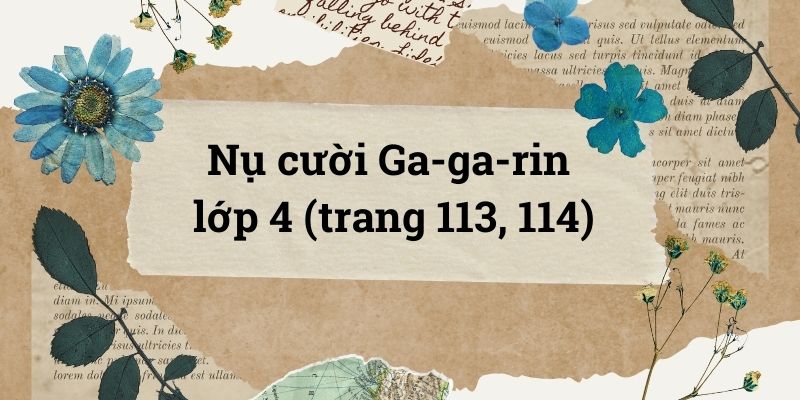 Nụ cười Ga-ga-rin lớp 4 (trang 113, 114) – Cánh diều