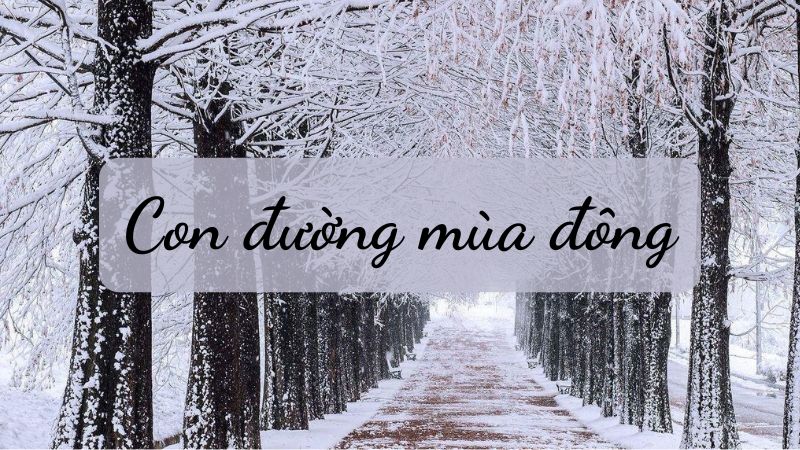 phan-tich-bai-tho-con-duong-mua-dong Phân tích bài thơ Con đường mùa đông