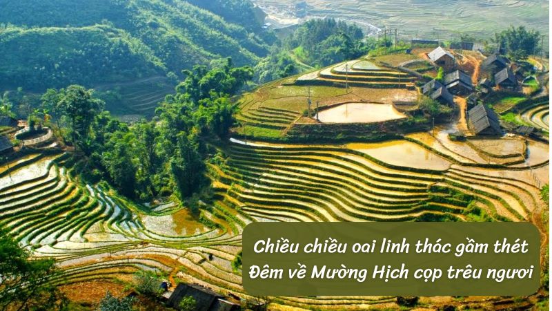 phan-tich-bai-tho-tay-tien phân tích bài thơ Tây Tiến