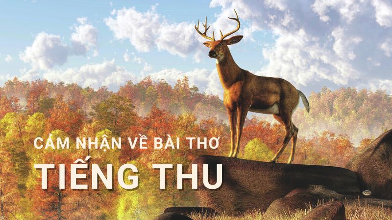 phan-tich-bai-tieng-thu phân tích bài tiếng thu