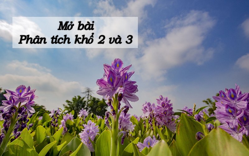 phan-tich-kho-2-3 Phân tích khổ 2 3