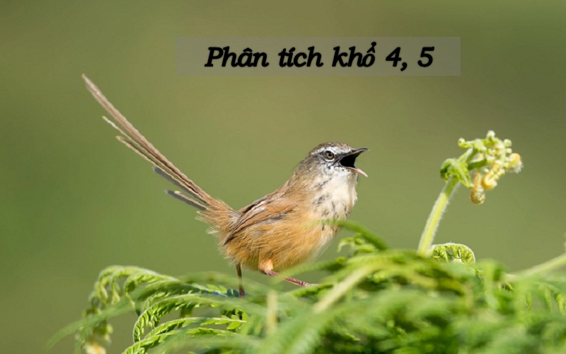 phan-tich-kho-4-5-bai-mua-xuan-nho-nho Phân tích khổ 4 5 bài mùa xuân nho nhỏ