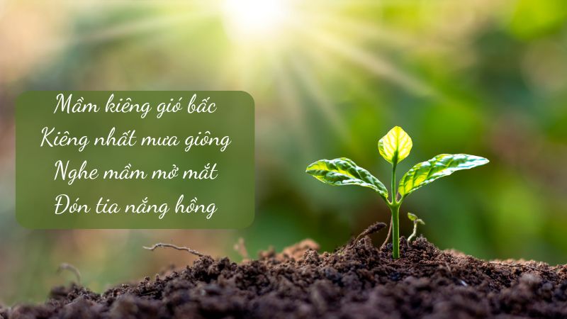 phan-tich-loi-cua-cay phân tích lời của cây