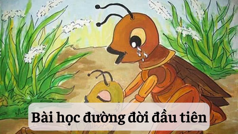 phan-tich-nhan-vat-de-men-trong-bai-hoc-duong-doi-dau-tien-1 phân tích nhân vật Dế Mèn trong Bài học đường đời đầu tiên
