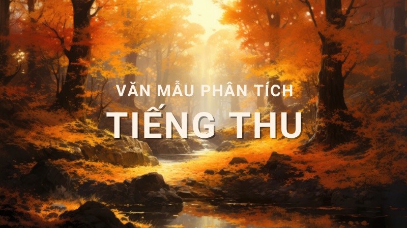phan-tich-tieng-thu phân tích tiếng thu