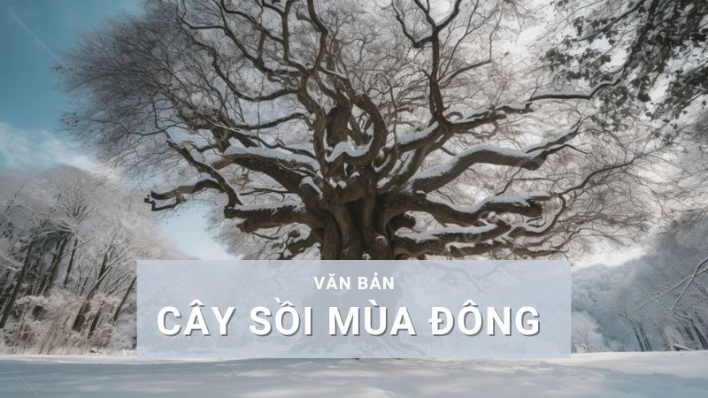 phan-tich-truyen-cay-soi-mua-dong phân tích truyện cây sồi mùa đông