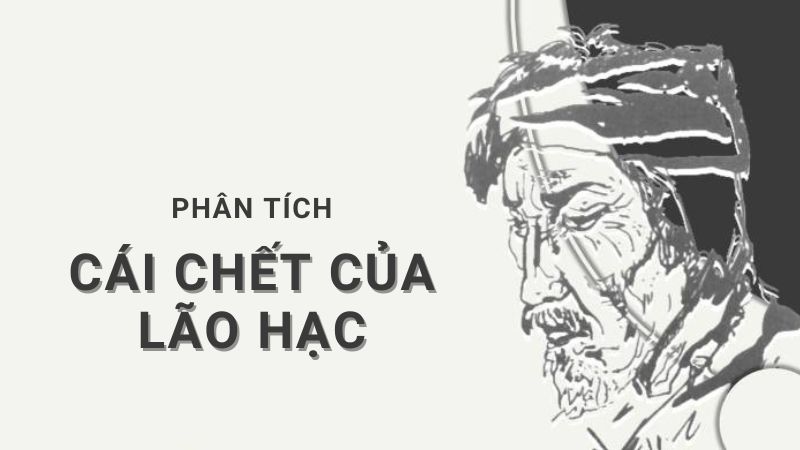 phan-tich-ve-nhan-vat-lao-hac-ngan-gon phân tích về nhân vật lão Hạc ngắn gọn