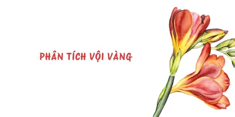 Top 50 Phân tích Vội vàng chọn lọc hay nhất