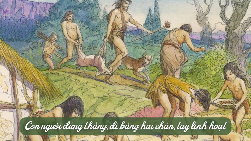 pro-me-te-va-loai-nguoi-chan-troi-sang-tao prô-mê-tê và loài người chân trời sáng tạo