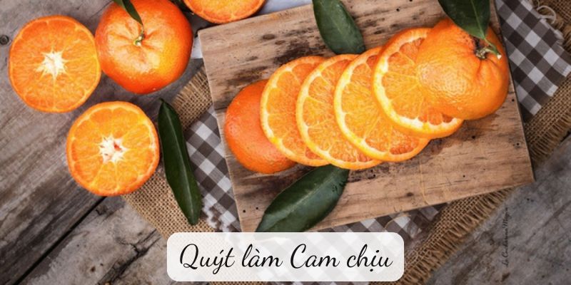 quyt-lam-cam-chiu-1 Quýt làm Cam chịu