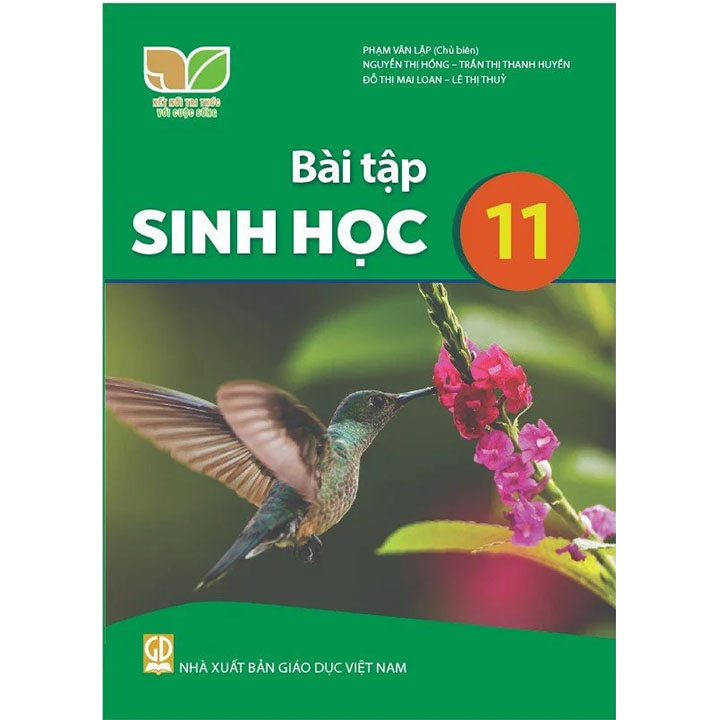 Sách giáo khoa (SGK) – Bài Tập Sinh Học Lớp Lớp 11 Kết nối tri thức