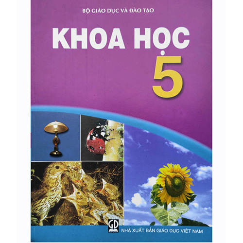 Sách giáo khoa (SGK) – Khoa Học Lớp 5 Kết nối tri thức với cuộc sống