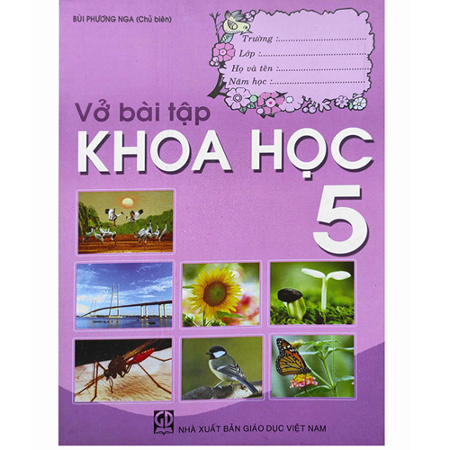 Sách giáo khoa (SGK) – Vở Bài Tập Khoa Học Lớp 5 Kết nối tri thức với cuộc sống