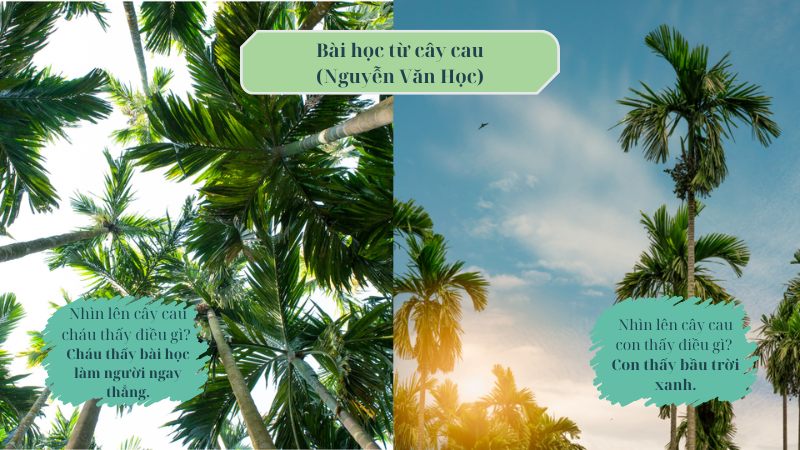 soan-bai-bai-hoc-tu-cay-cau soạn bài bài học từ cây cau