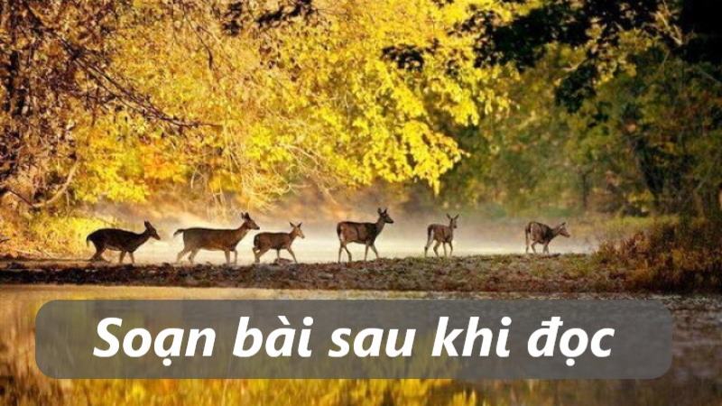 soan-bai-ban-hoa-am-ngon-tu-trong-tieng-thu-cua-luu-trong-lu soạn bài bản hòa âm ngôn từ trong tiếng thu của lưu trọng lư