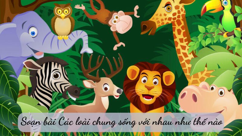 soan-bai-cac-loai-chung-song-voi-nhau-nhu-the-nao-1 Soạn bài Các loài chung sống với nhau như thế nào