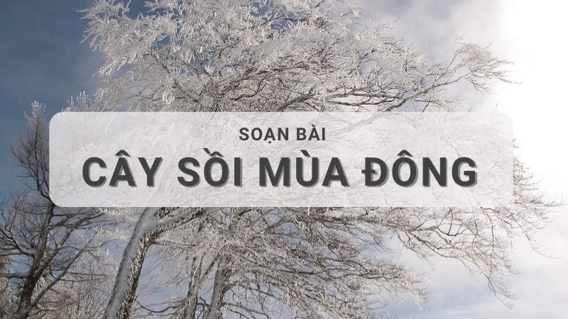 soan-bai-cay-soi-mua-dong-1 Soạn bài Cây sồi mùa đông