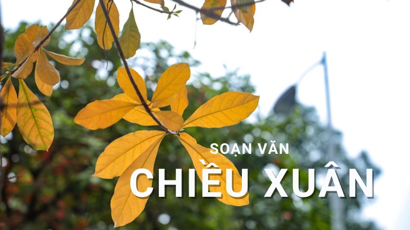 soan-bai-chieu-xuan-1 Soạn bài Chiều xuân
