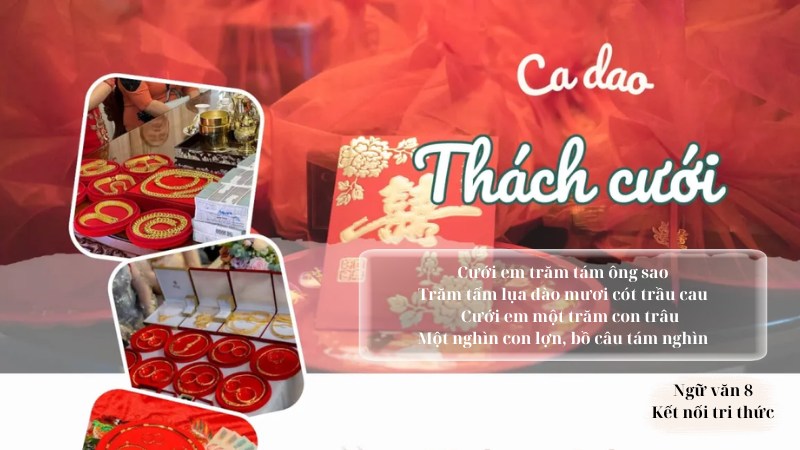 soan-bai-chum-ca-dao-trao-phung-lop-8 soạn bài chùm ca dao trào phúng lớp 8
