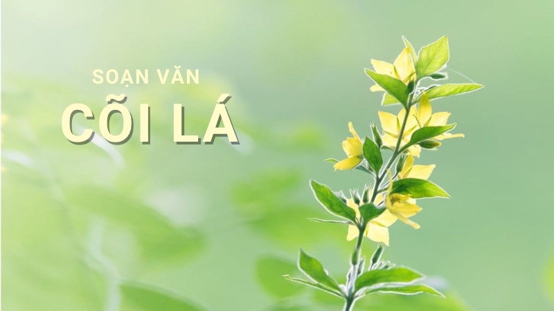 soan-bai-coi-la soạn bài cõi lá