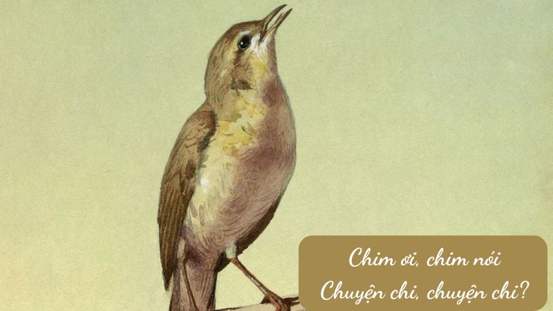 soan-bai-con-chim-chien-chien soạn bài con chim chiền chiện
