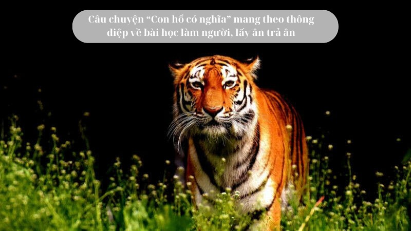 soan-bai-con-ho-co-nghia soạn bài con hổ có nghĩa