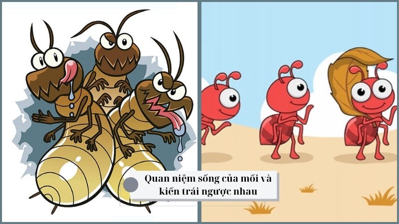 soan-bai-con-moi-va-con-kien-1 soạn bài con mối và con kiến