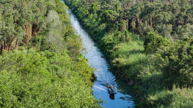 soan-bai-dat-rung-phuong-nam soạn bài đất rừng phương nam